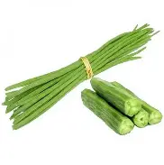 Drumstick  LB