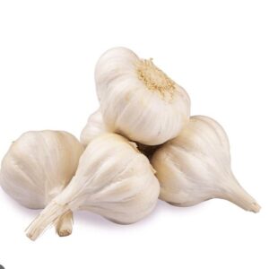 Garlic Loose LB