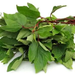 Gongura Leaves LB