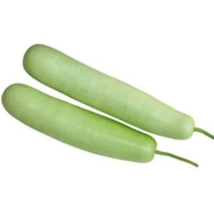Indian Long Squash LB