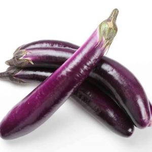 Long Eggplant LB