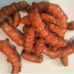Turmeric Whole Lb LB
