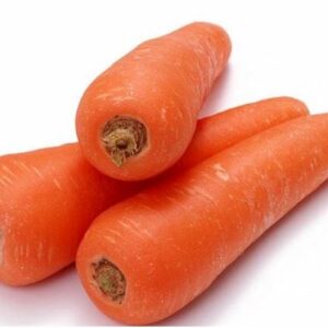 Carrot Jumbo LB