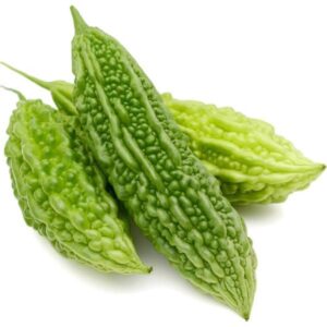 Indian Bittermelon LB