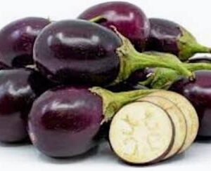 Eggplant Small Indian  LB