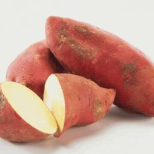 Sweet Potatoes Indian LB