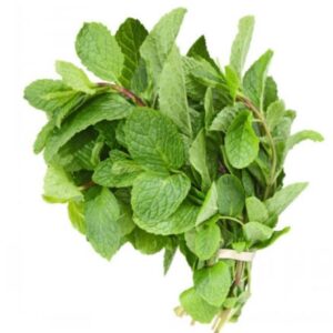 Mint Leaves Bag 4 OZ