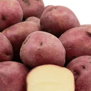 Potato Red  LB