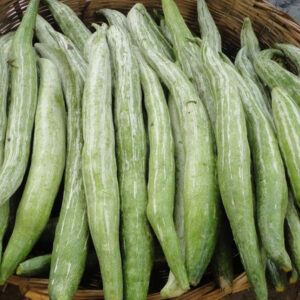 Snake Gourd  LB
