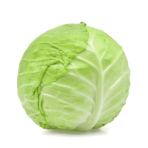 Cabbage Green LB